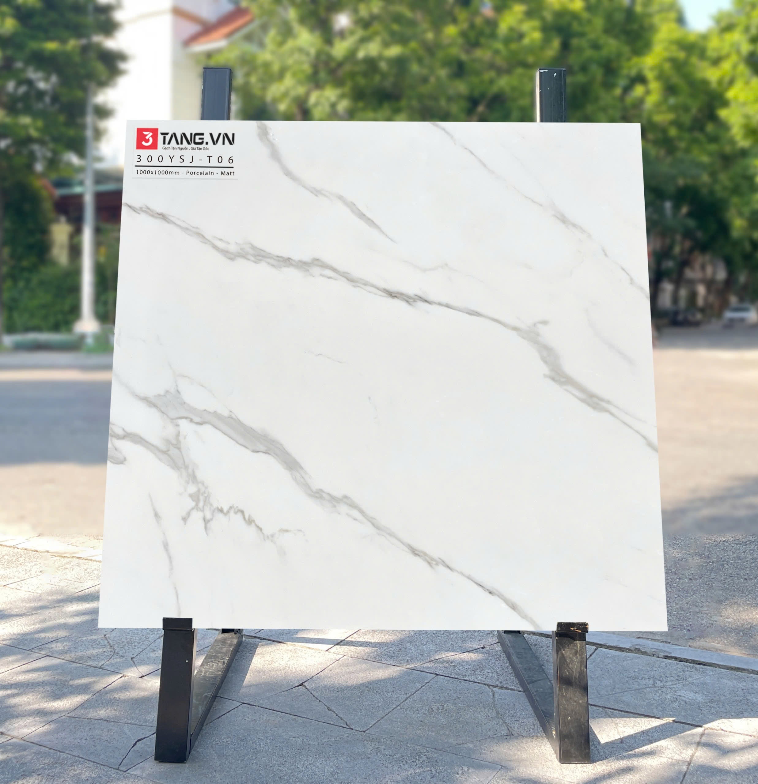 3001YSJ-T06 Gạch Vân Đá Nhập Khẩu 1000x1000