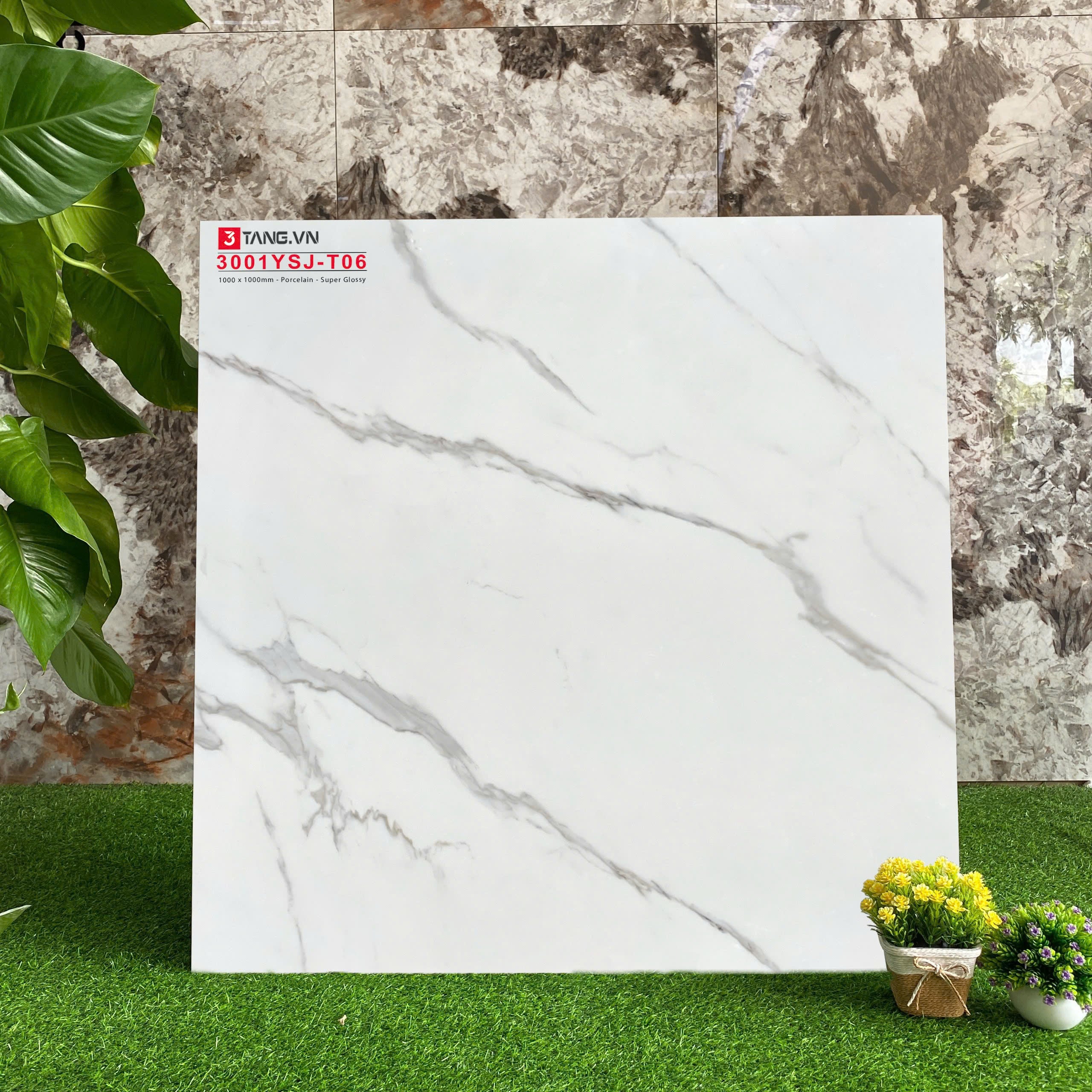 3001YSJ-T06 Gạch Vân Đá Nhập Khẩu 1000x1000