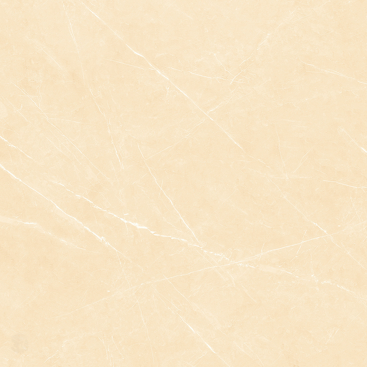 3655-T10 Gạch Vân Đá Cao Cấp 1000x1000