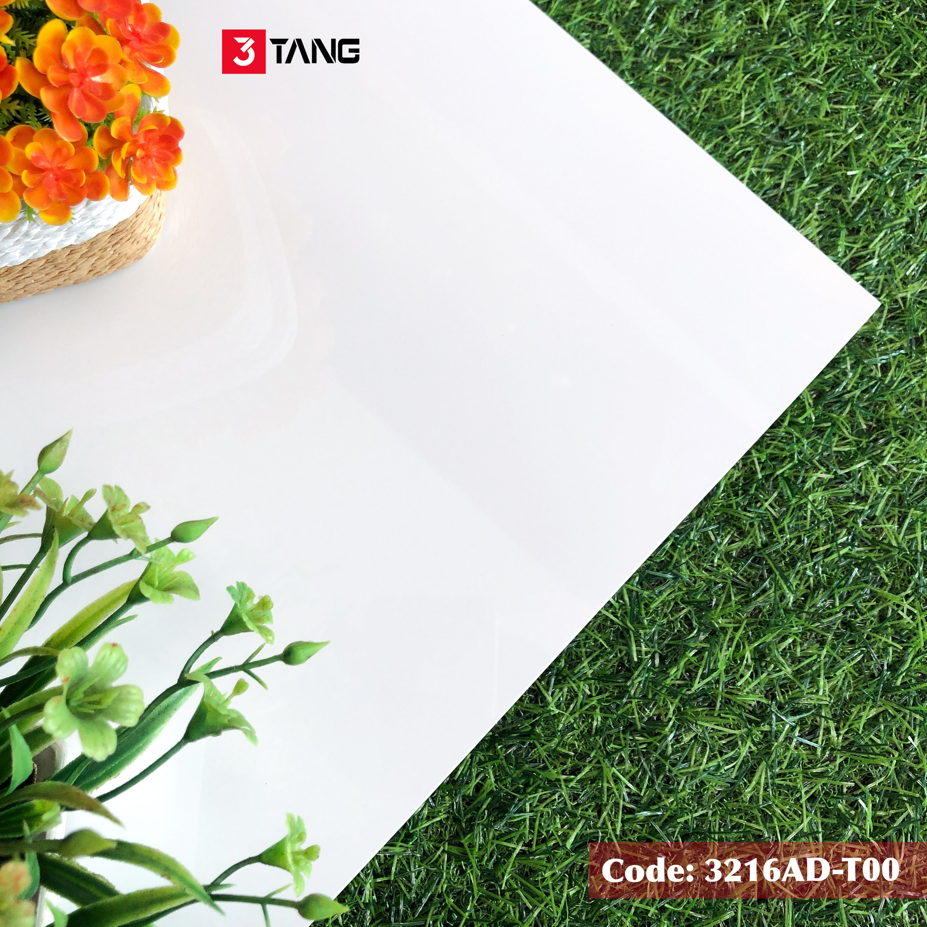 3216AD-T00 Gạch Trắng Bóng Cao Cấp 600x1200
