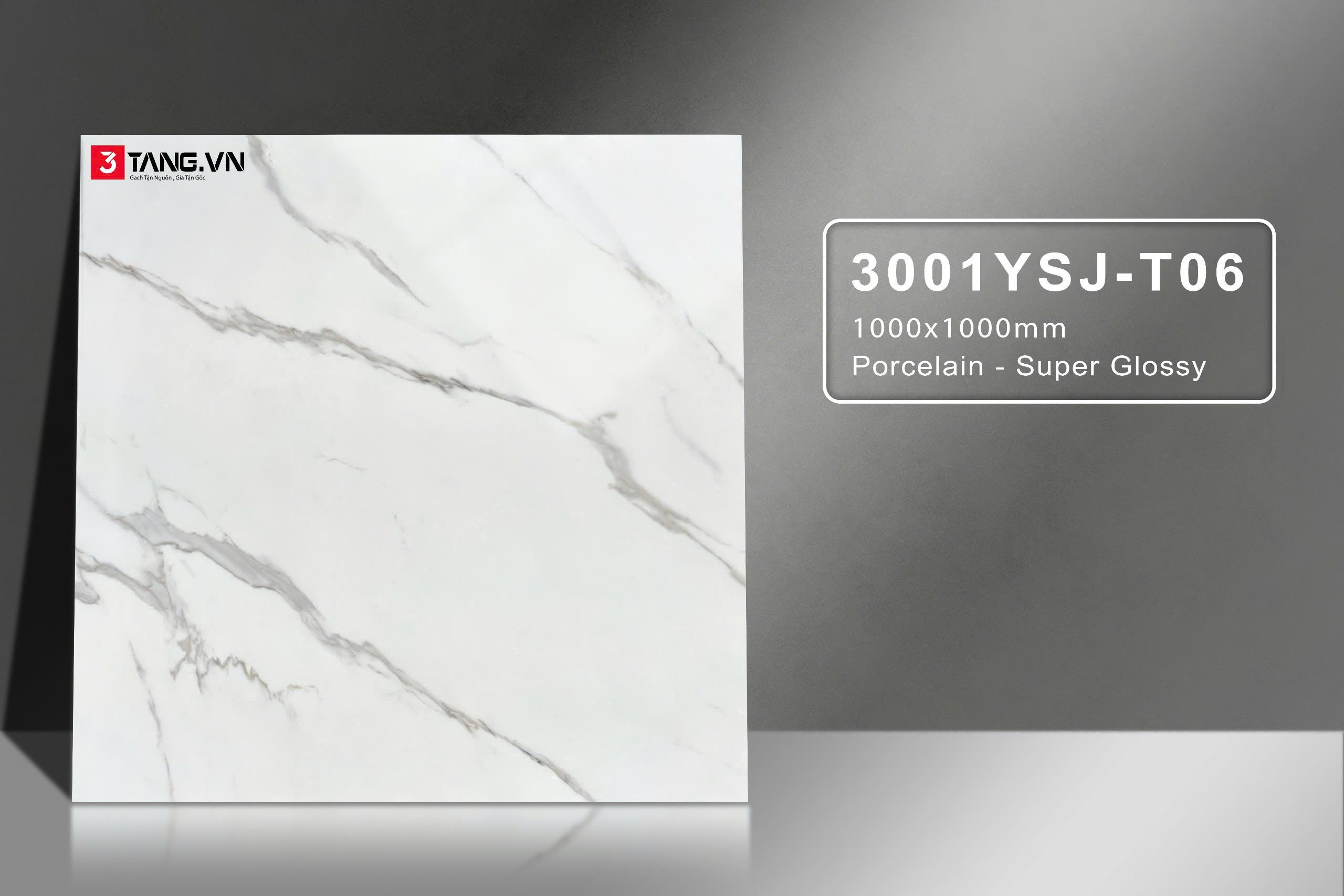 3001YSJ-T06 Gạch Vân Đá Nhập Khẩu 1000x1000