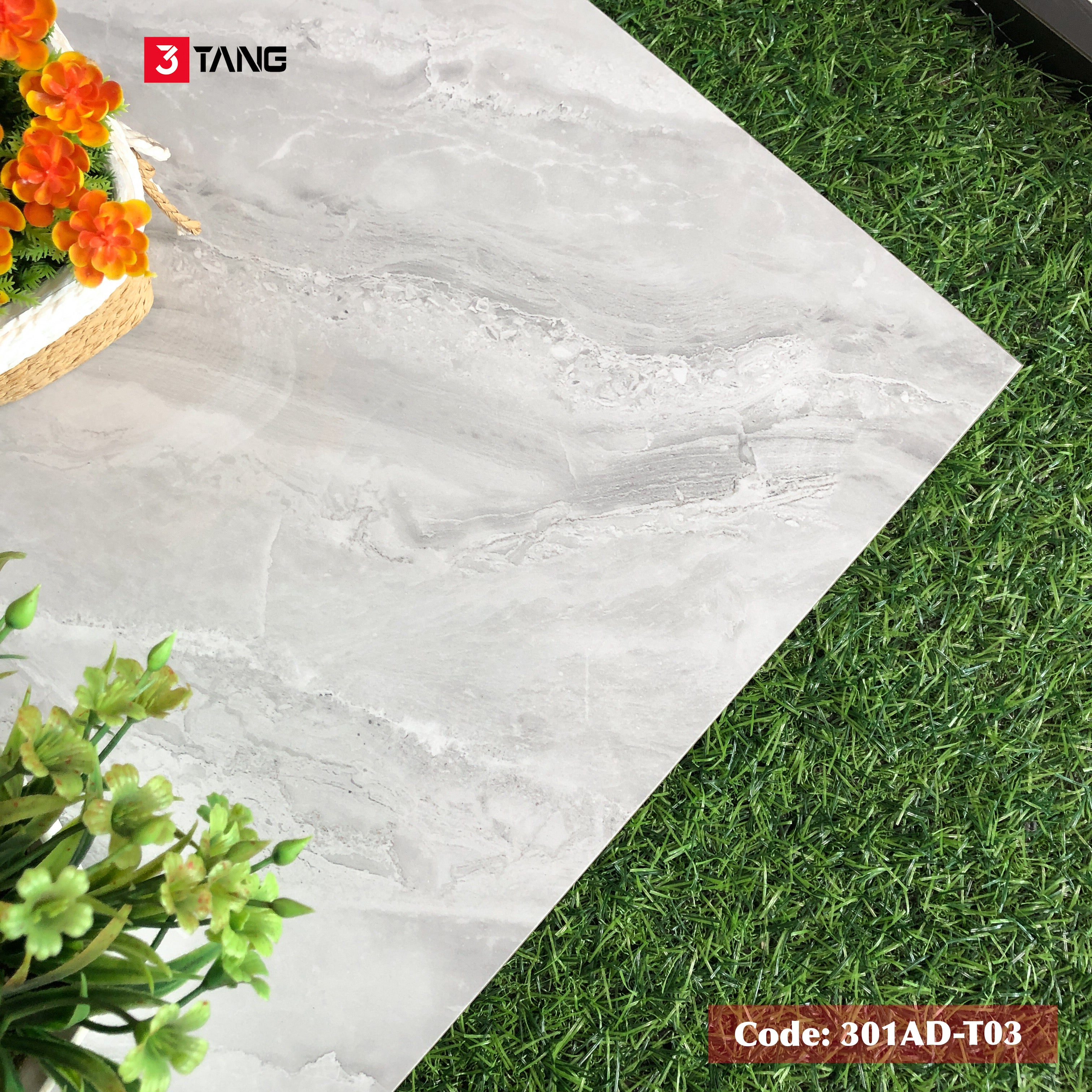301AD-T03 Gạch Vân Đá Cao Cấp 1000x1000