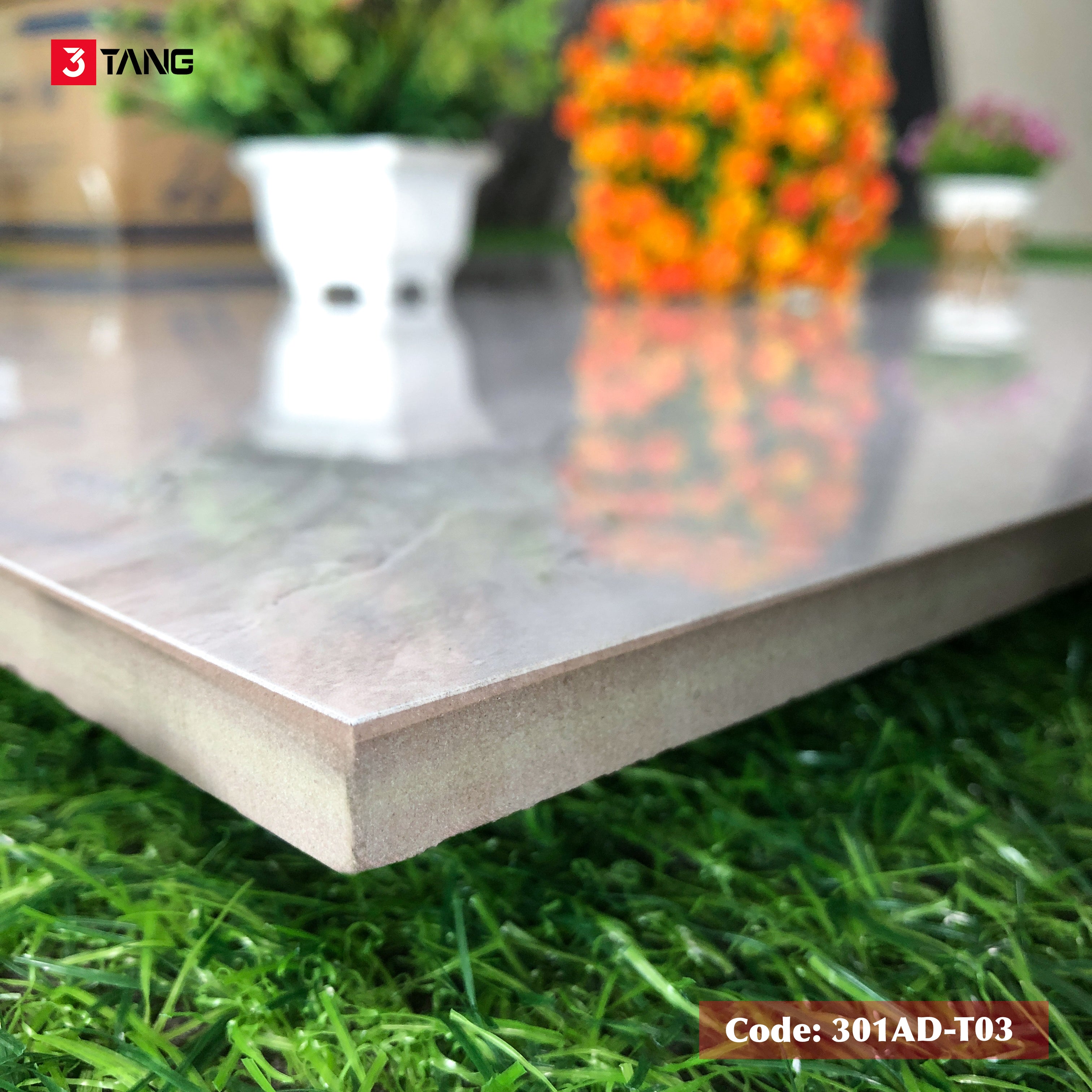 301AD-T03 Gạch Vân Đá Cao Cấp 1000x1000