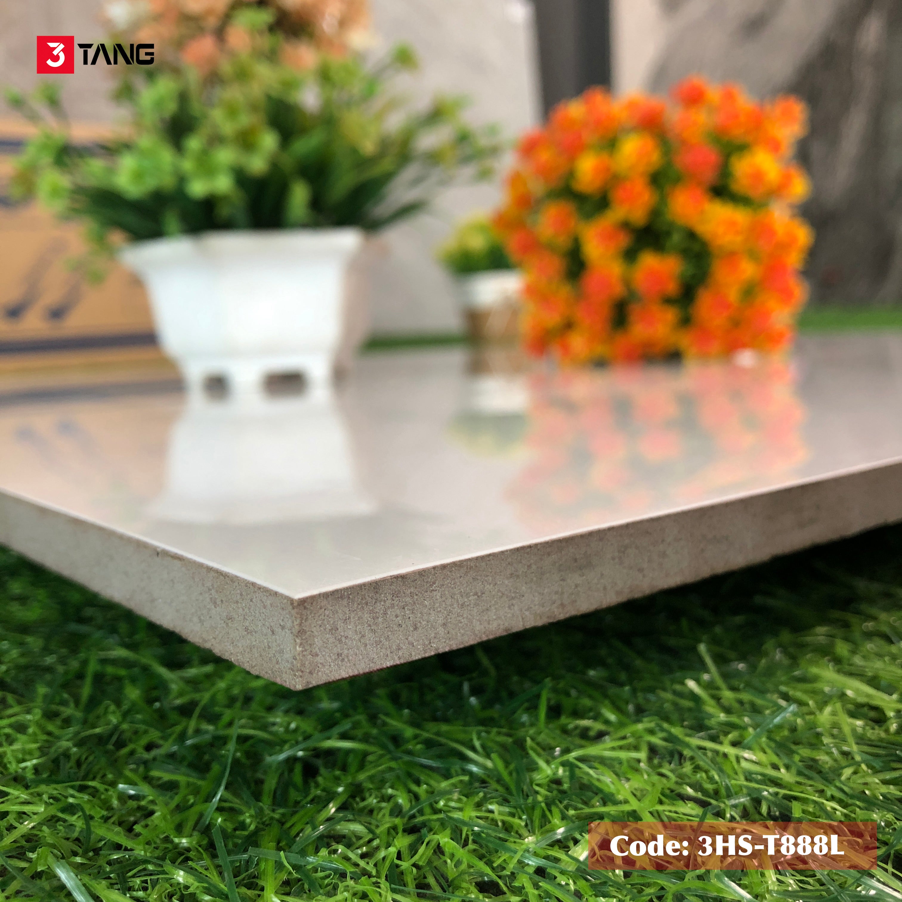 3HS-T888L Gạch Vân Mây Nhập Khẩu 800x800