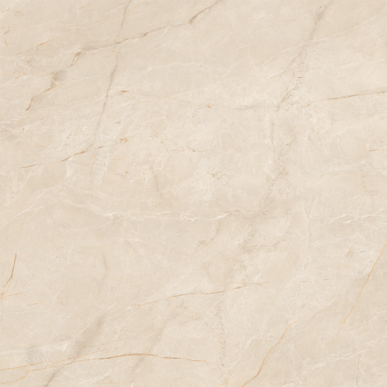 32121L-T001 Gạch Vân Đá Nhập Khẩu 1200x1200