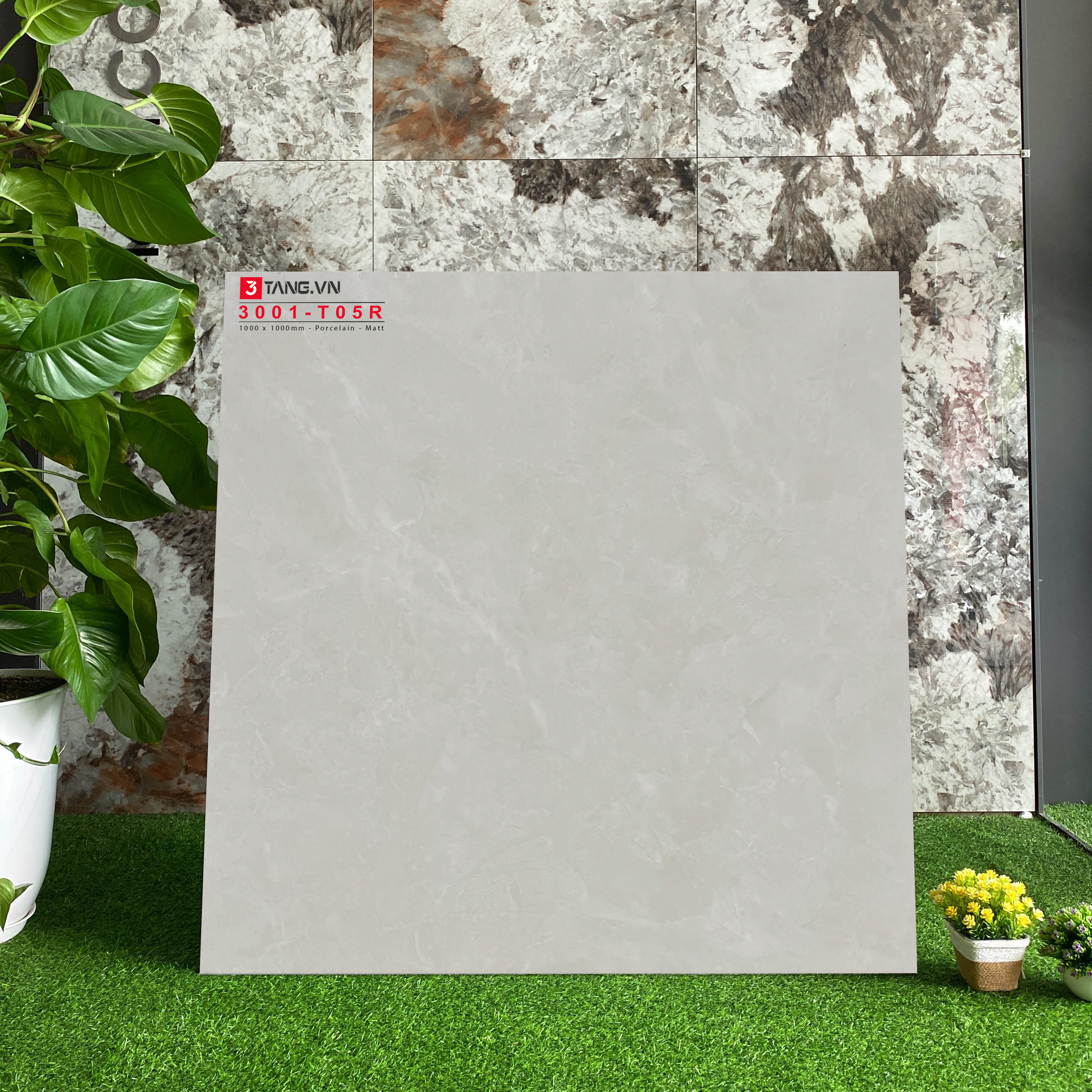 3001-T05R Gạch Vân Mây Nhập Khẩu 1000x1000