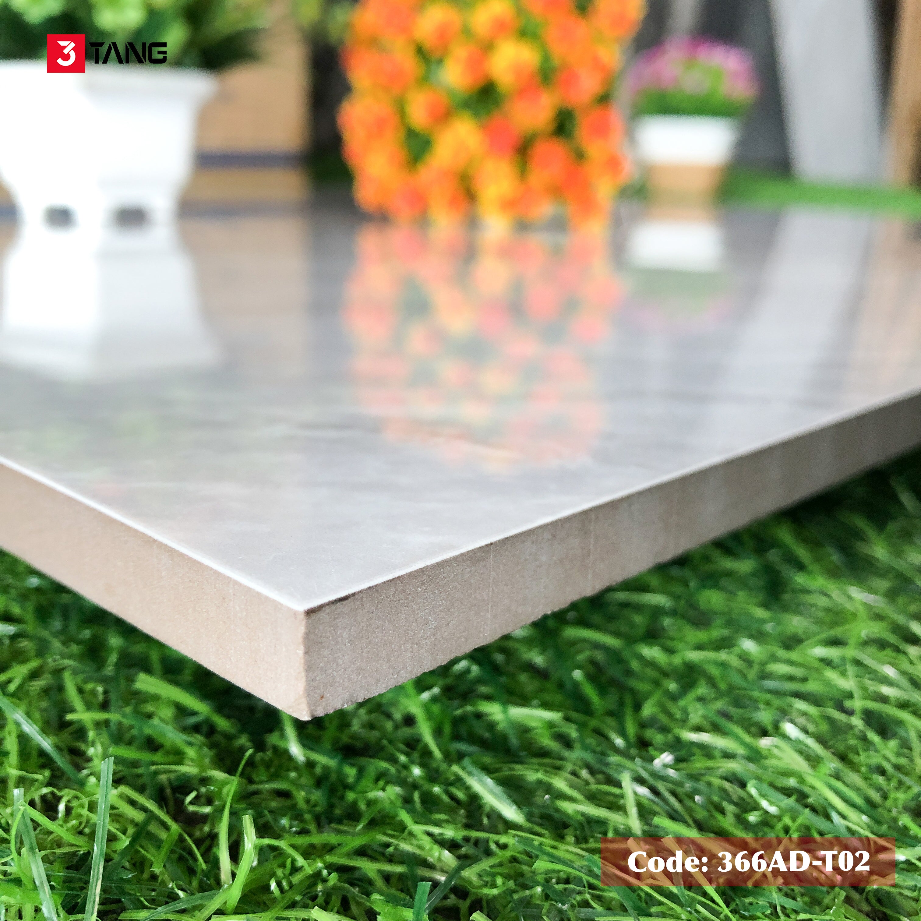 366AD-T02 Gạch Vân Đá Cao Cấp 600x600