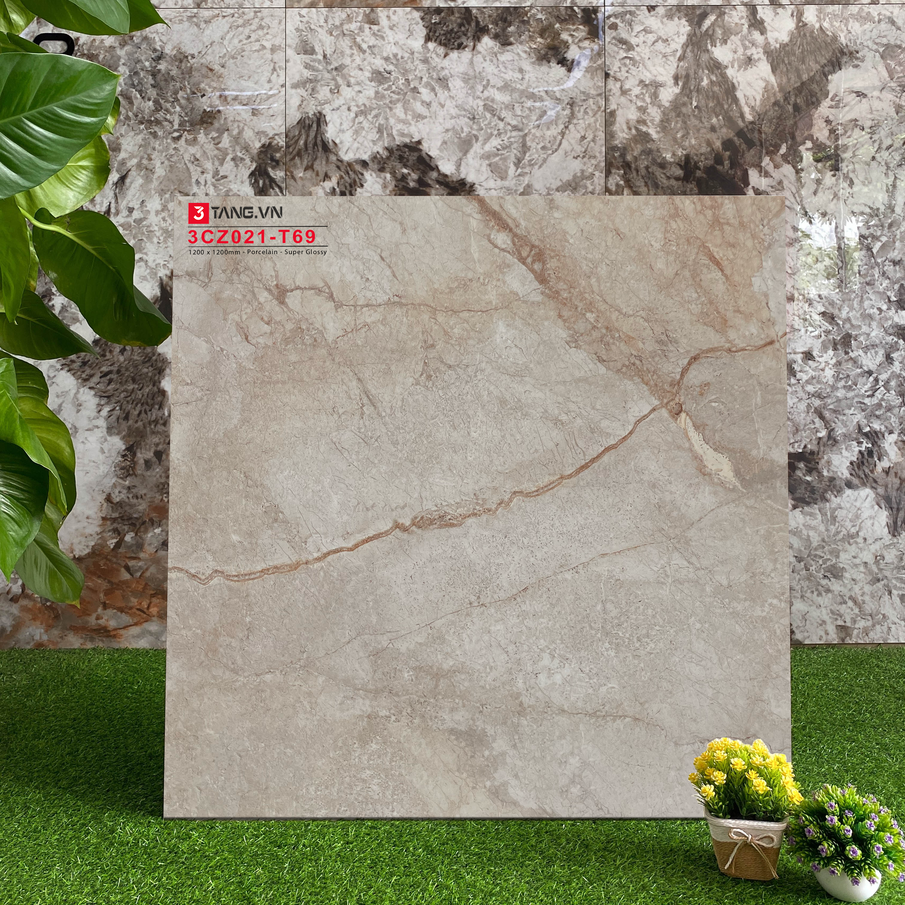 3CZ021-T69 Gạch Vân Đá Nhập Khẩu 1200x1200