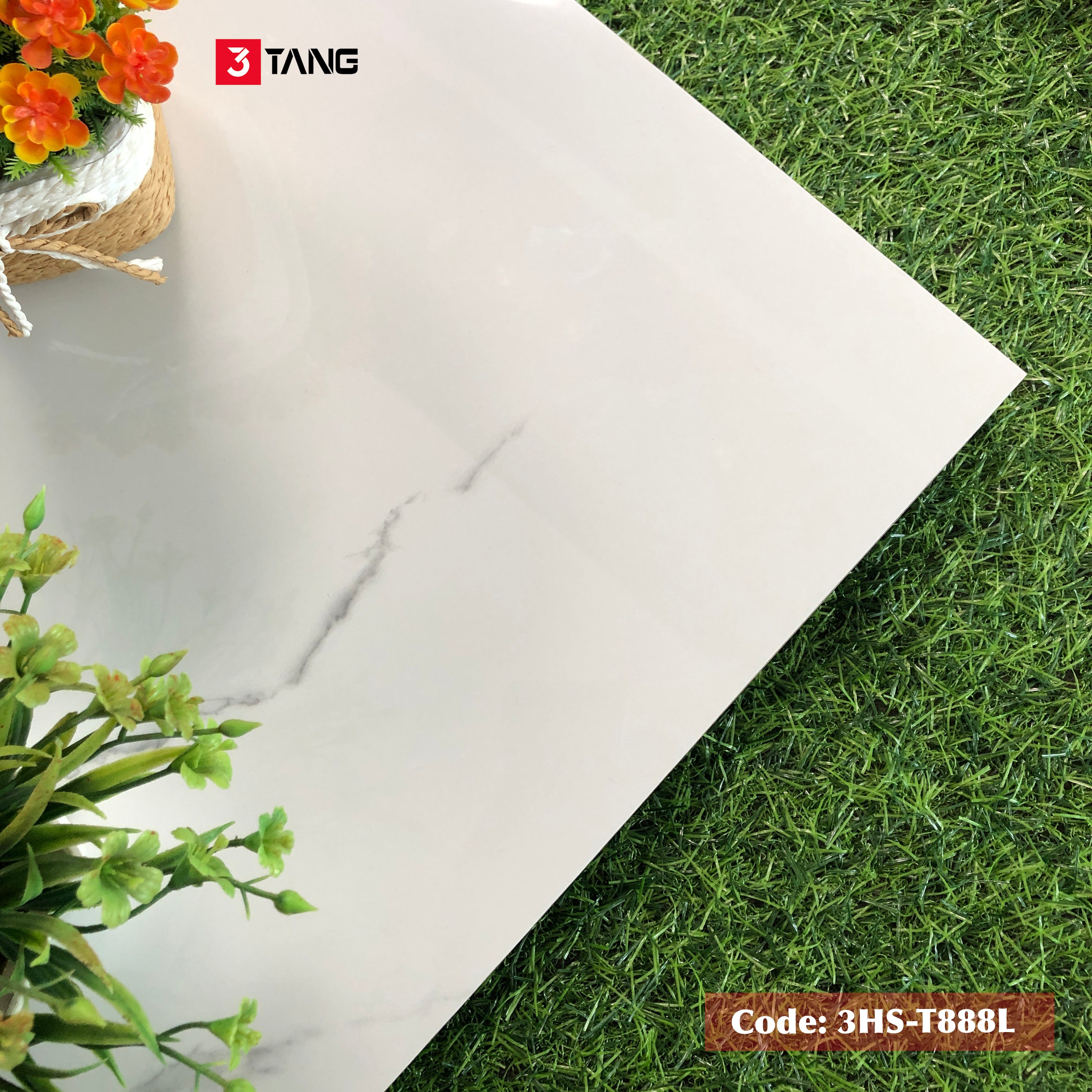 3HS-T888L Gạch Vân Mây Nhập Khẩu 800x800