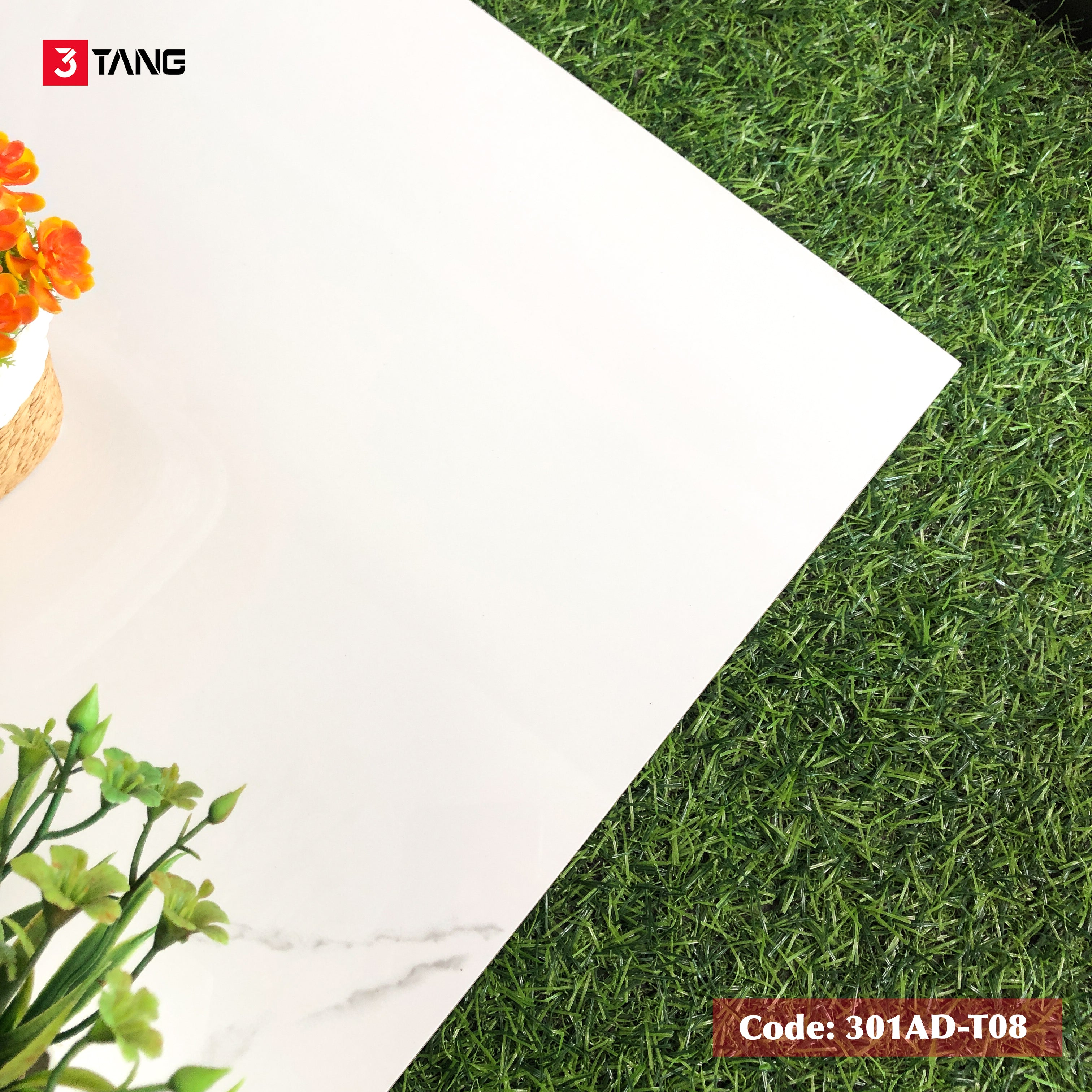 301AD-T08 Gạch Vân Đá Cao Cấp 1000x1000