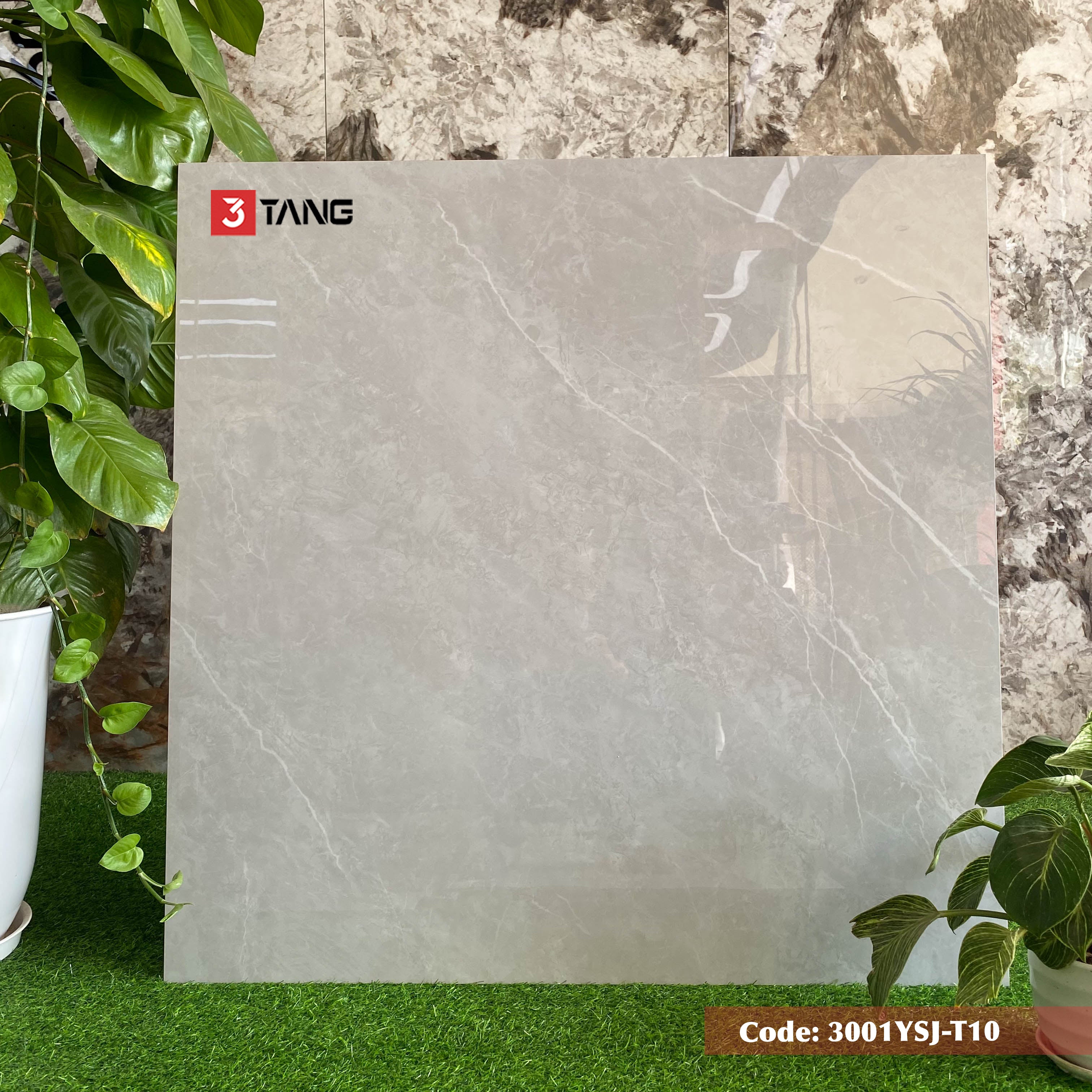 3001YSJ-T10 Gạch Vân Đá Nhập Khẩu 1000x1000