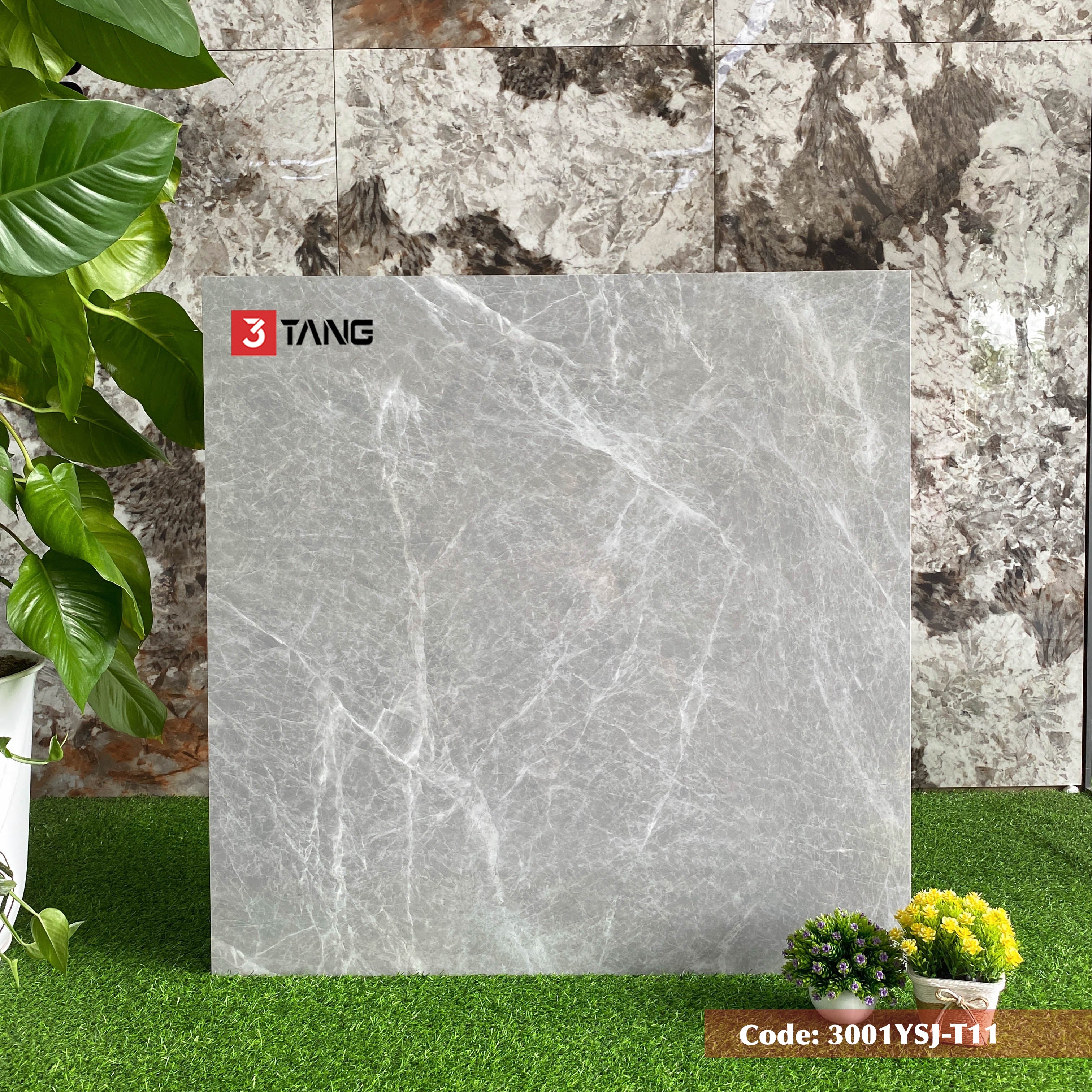 3001YSJ-T11 Gạch Vân Đá Nhập Khẩu 1000x1000