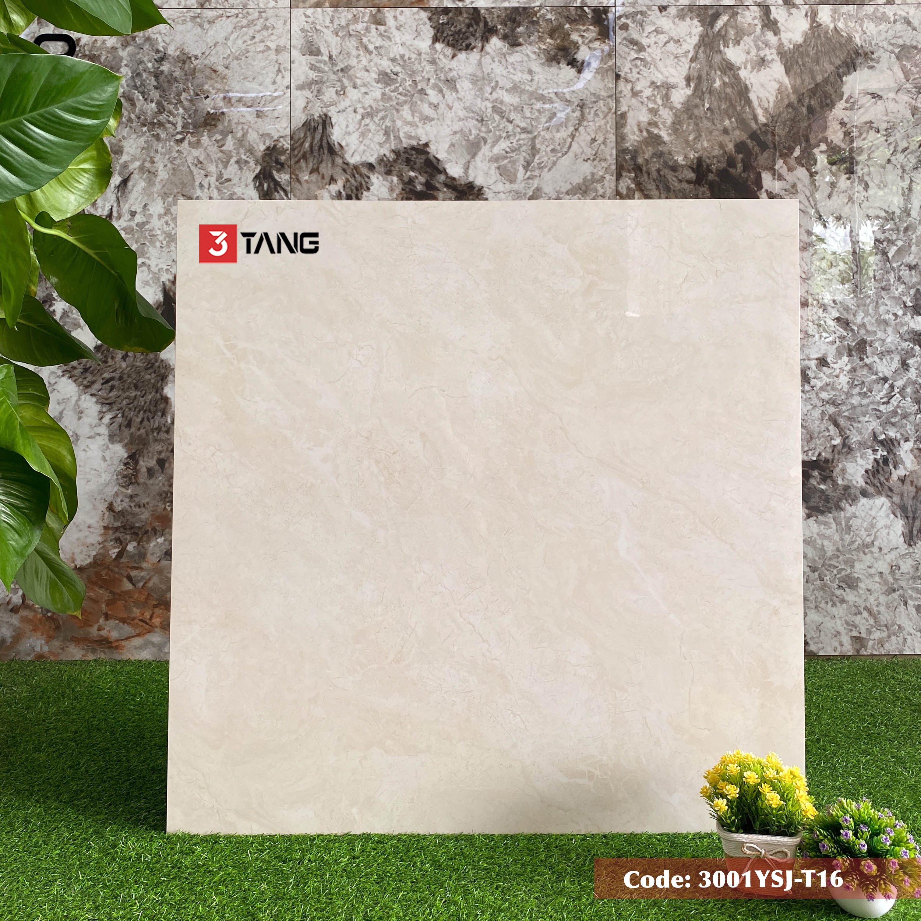 3001YSJ-T16 Gạch Vân Đá Nhập Khẩu 1000x1000