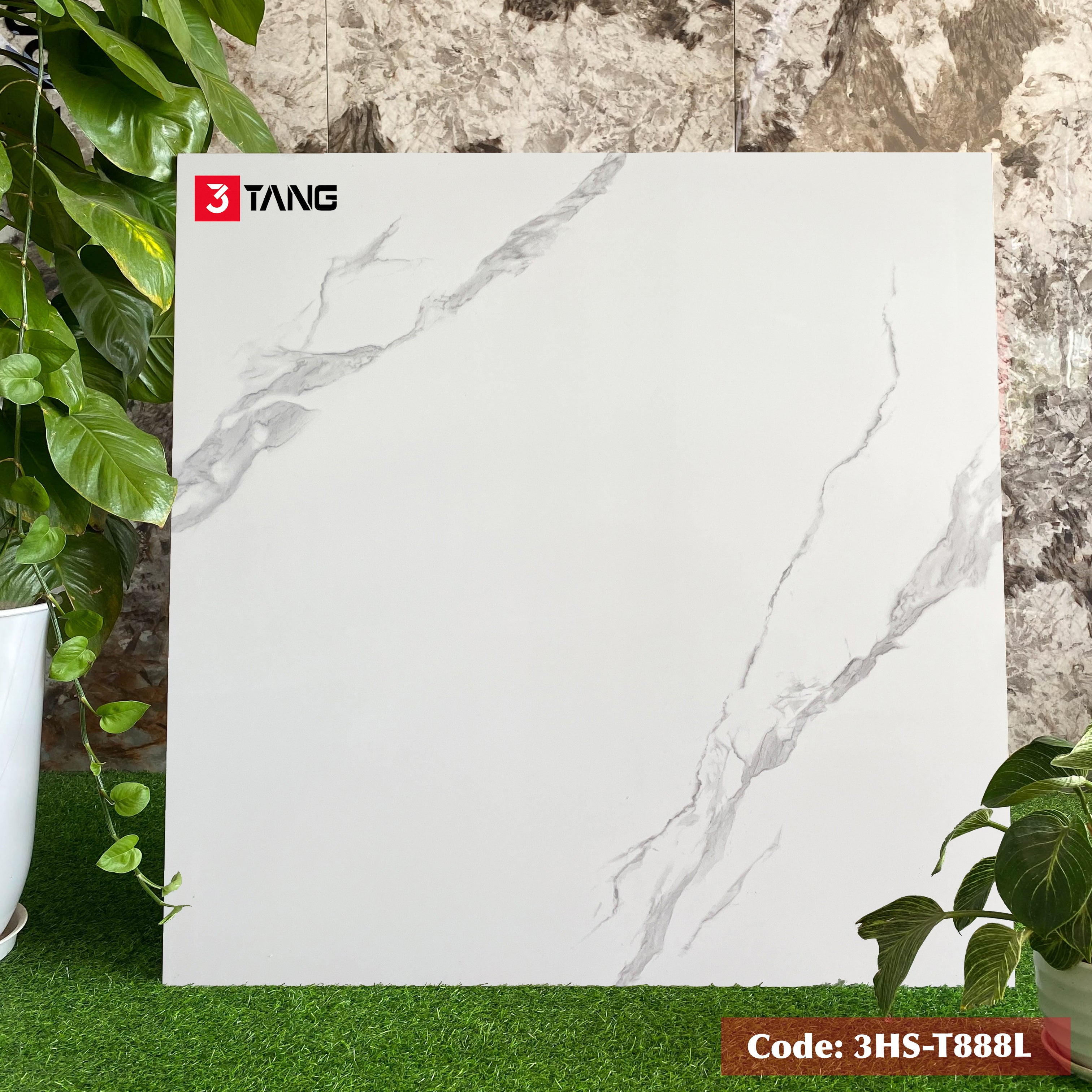 3HS-T888L Gạch Vân Mây Nhập Khẩu 800x800