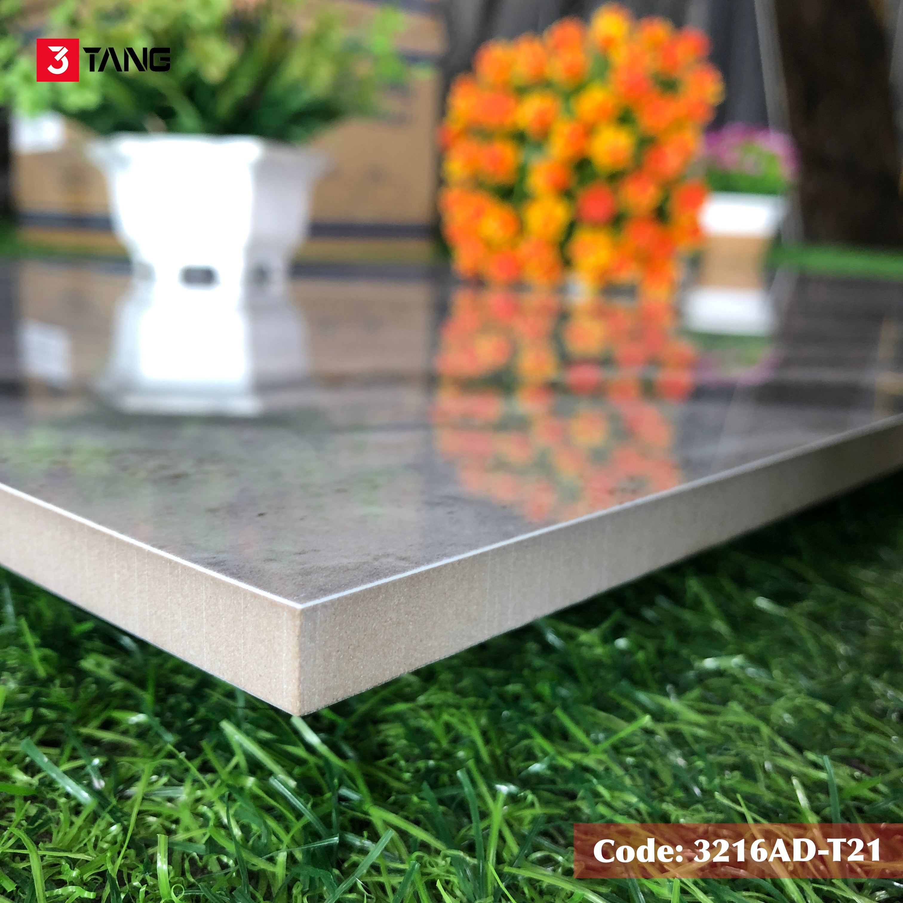 3216AD-T21 Gạch Vân Mây Cao Cấp 600x1200