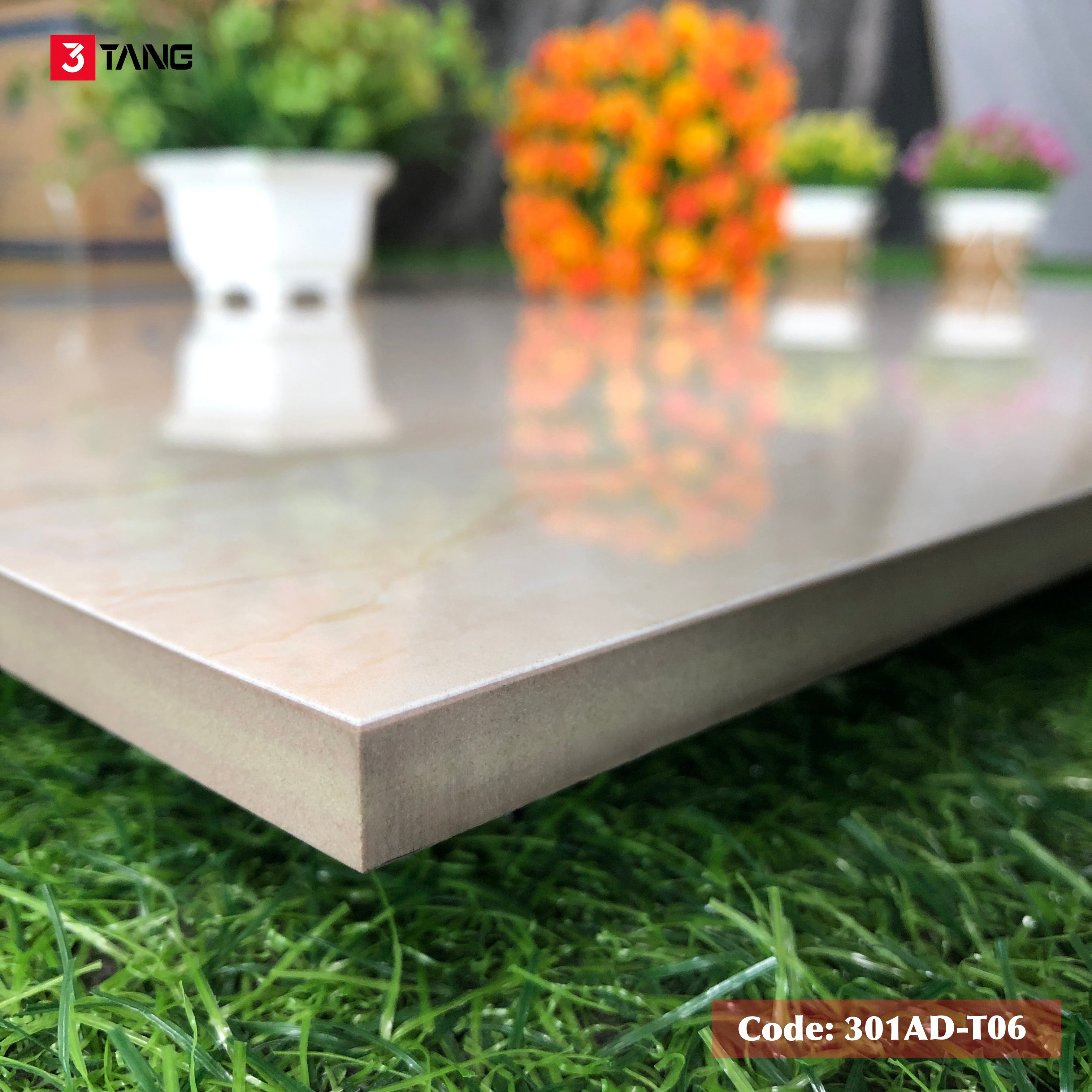 301AD-T06 Gạch Vân Mây Cao Cấp 1000x1000